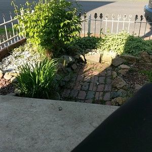 Meet your Posher, Luna